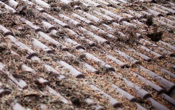 Adwick Le Street roof cleaning companies